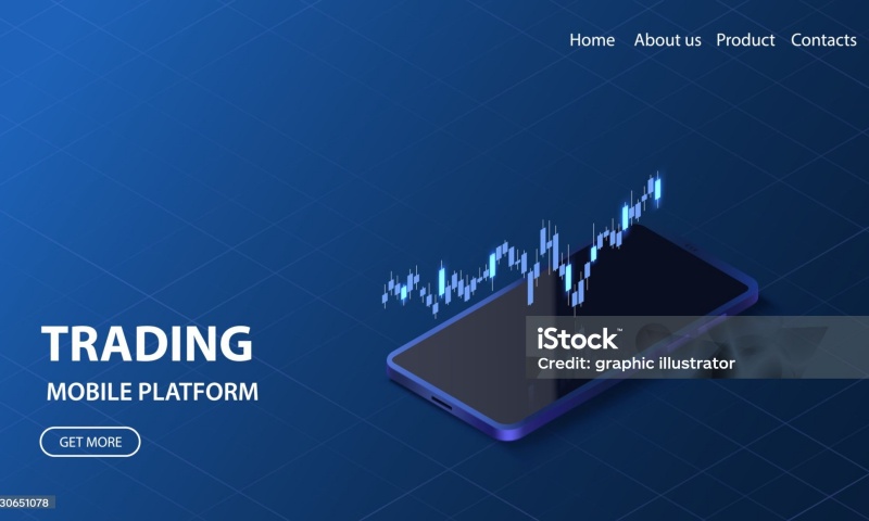 RARE币的发行价格是多少?RARE币的发行时间与市场分析