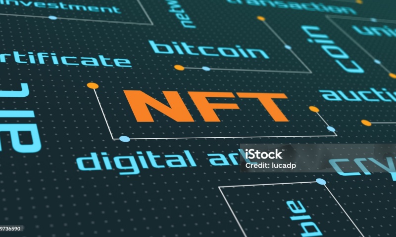 如何设置币印矿池的NMC钱包地址?域名设置教程详解