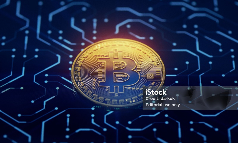 TRTL币值得投资吗?乌龟币的市场前景与价值分析