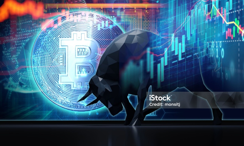 LION是什么币?全面了解LION币的价值与市场