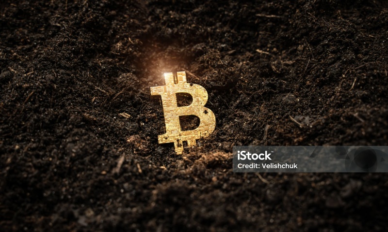 MBL币发行量是多少?MBL币的发行量与流通情况