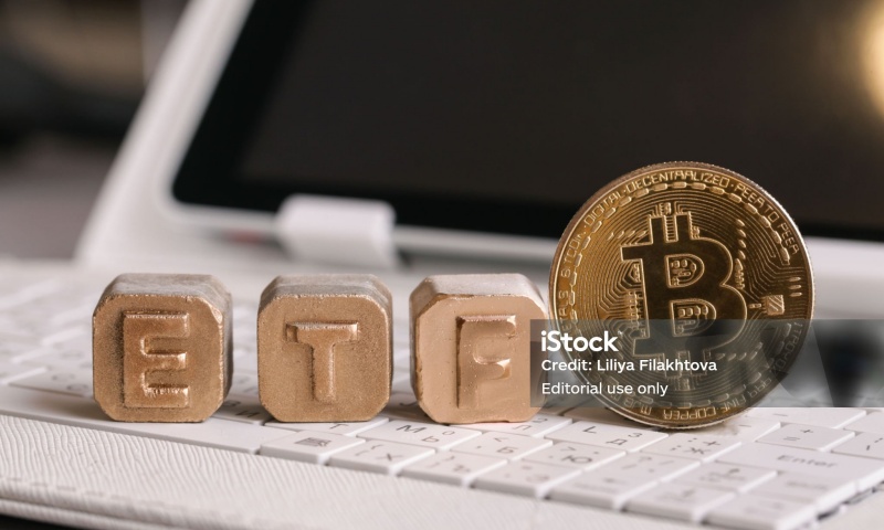 POOLZ是什么币种?POOLZ币的官网、发行量与交易所信息