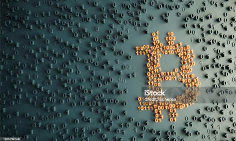 2025年莱特币能涨到多少?莱特币价格预测与分析