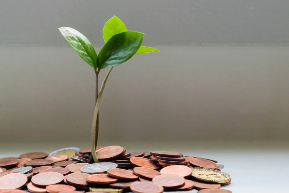 cfx币值得投资吗 | Conflux代币配置价值解析