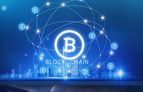 熊市来临散户如何应对 | 散户熊市生存指南