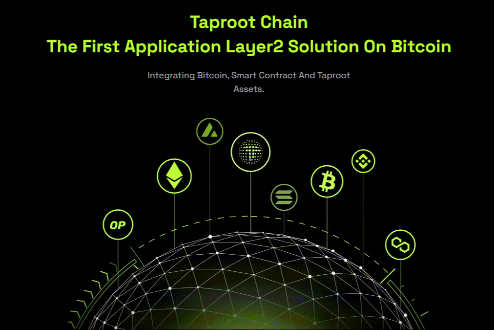 ddw币交易前景分析 | ddw币市场流通性探讨